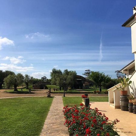 Villa Olga Tarquinia Εξωτερικό φωτογραφία