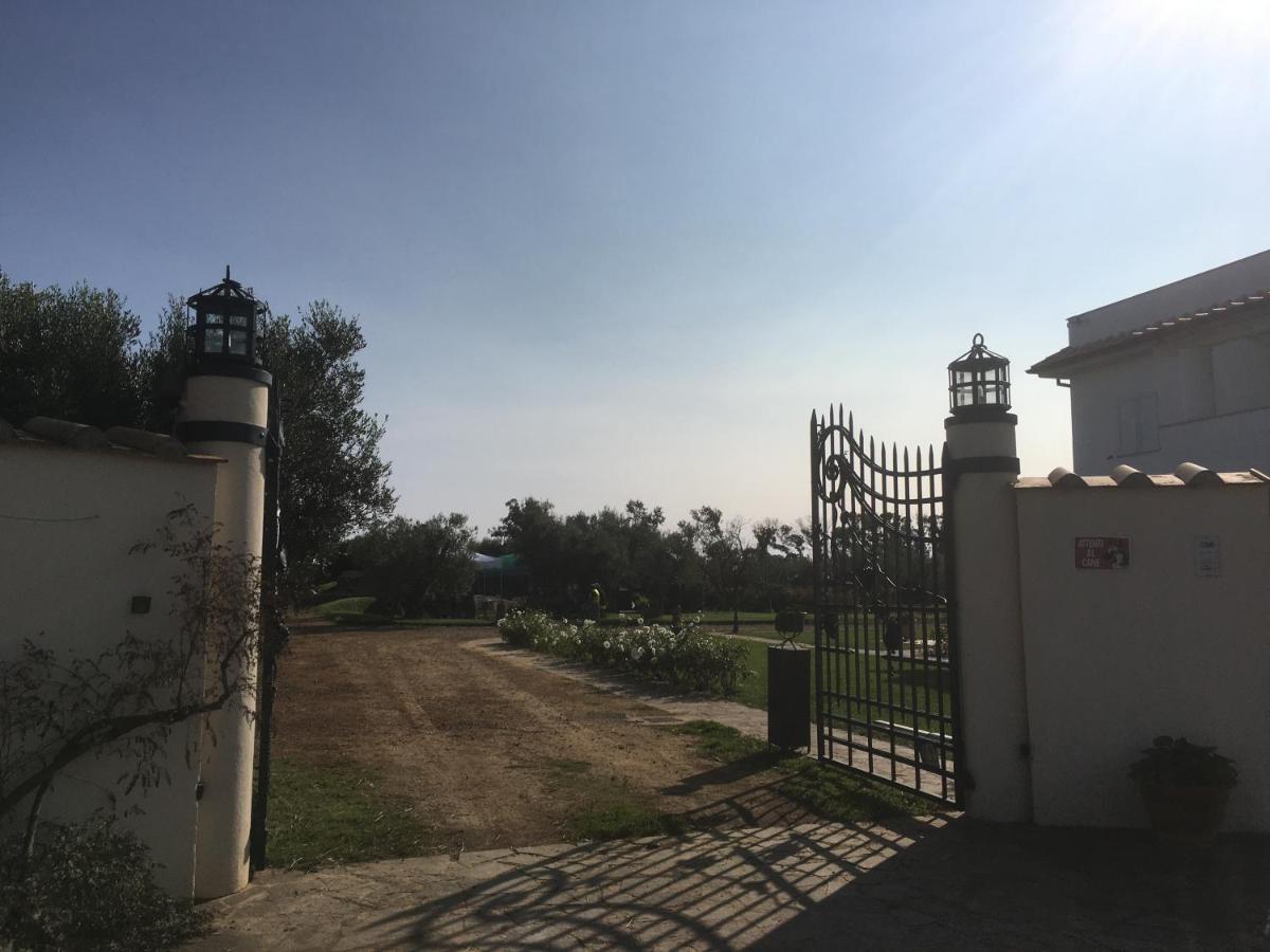 Villa Olga Tarquinia Εξωτερικό φωτογραφία