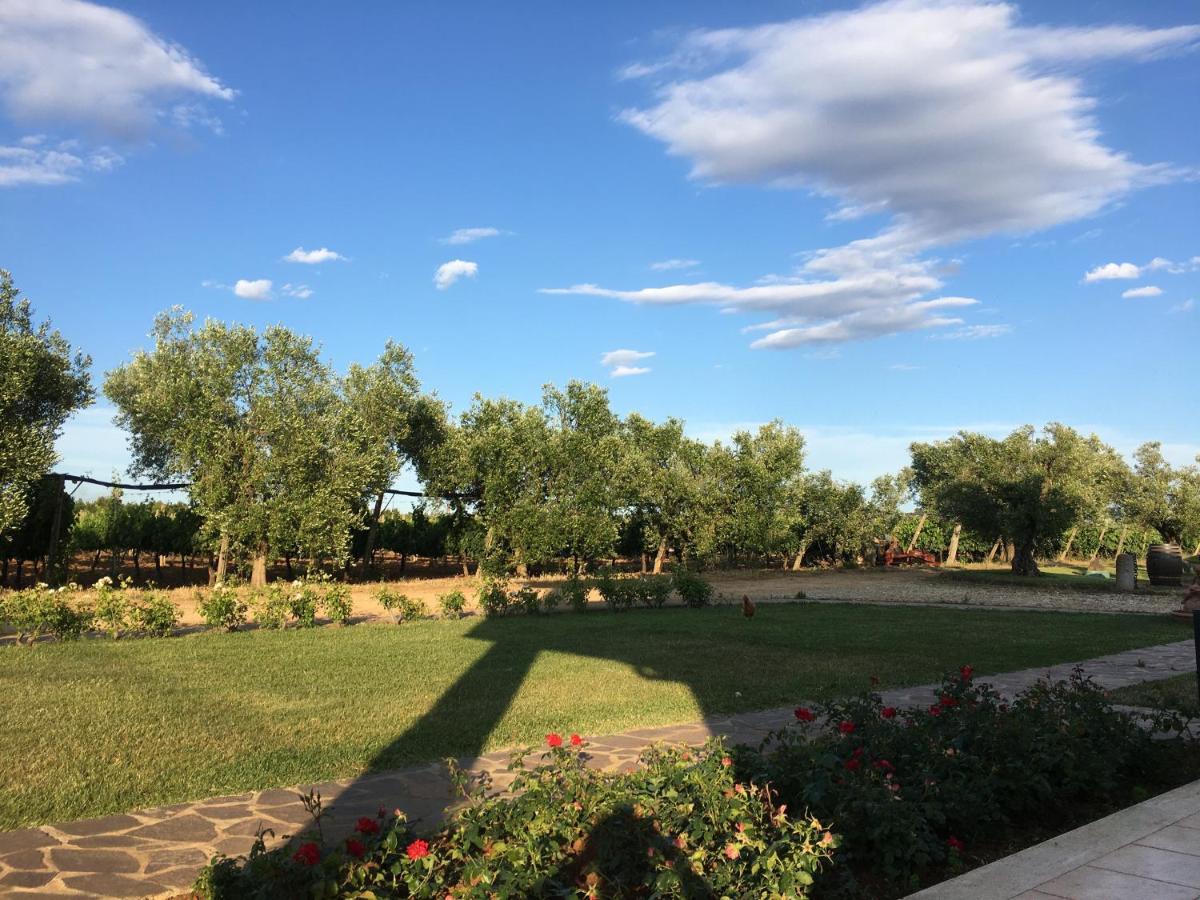 Villa Olga Tarquinia Εξωτερικό φωτογραφία