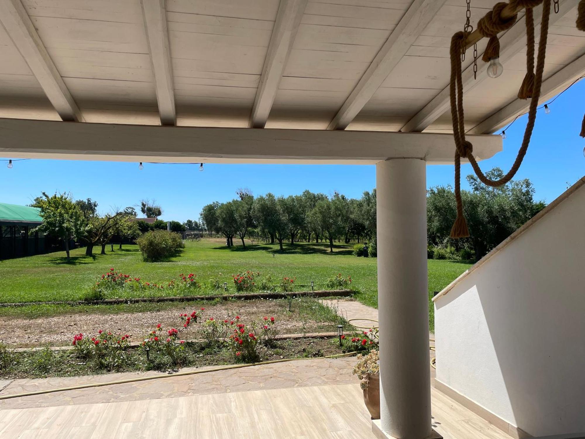 Villa Olga Tarquinia Εξωτερικό φωτογραφία