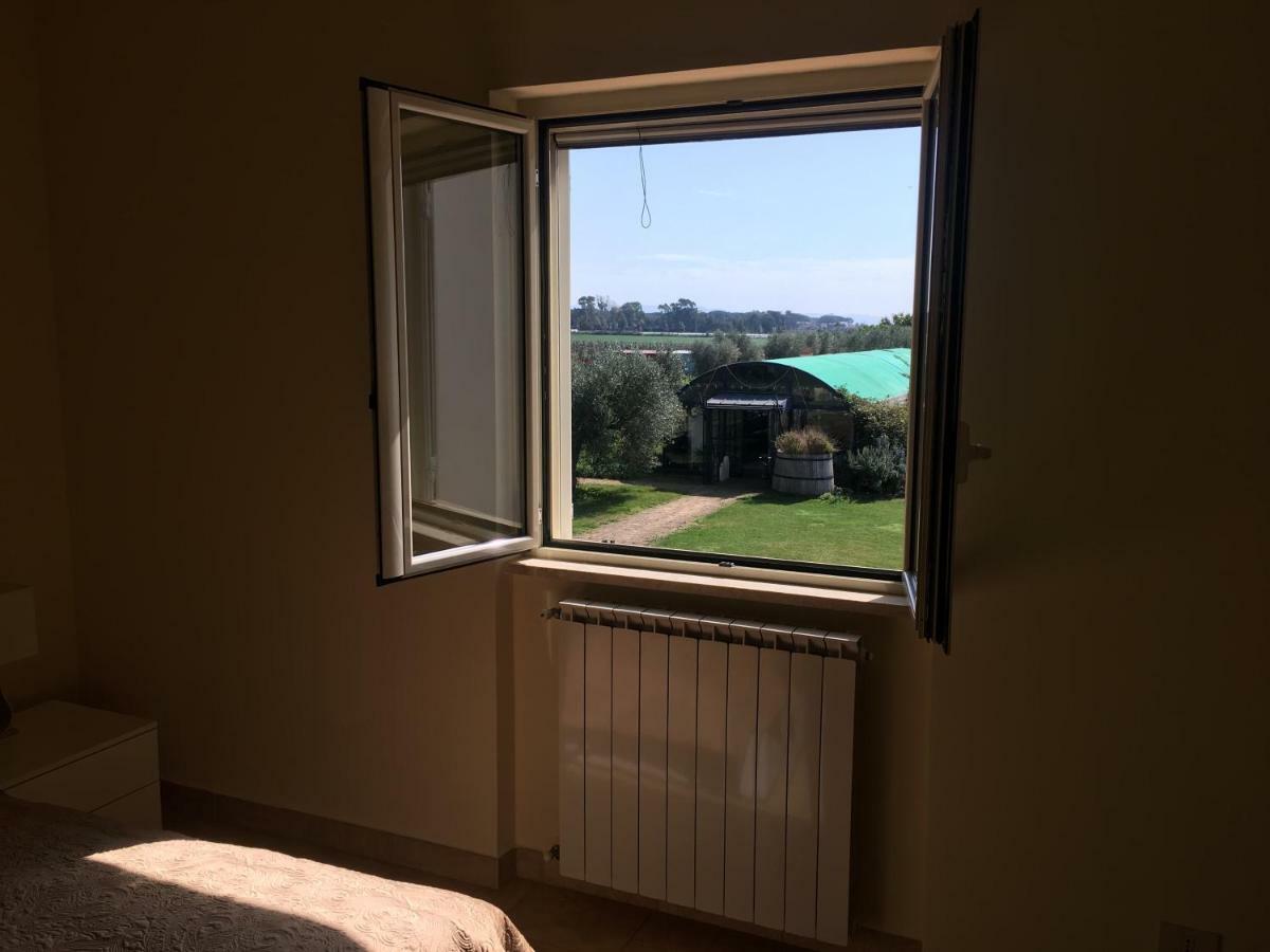 Villa Olga Tarquinia Εξωτερικό φωτογραφία