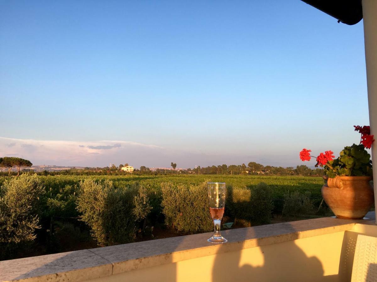 Villa Olga Tarquinia Εξωτερικό φωτογραφία